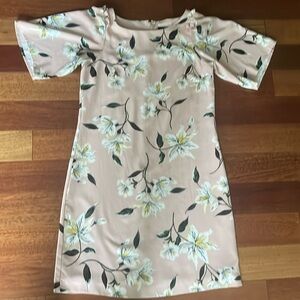 Ann Taylor Factory Pink Long Sleeve Dress